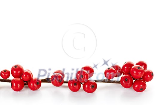 One winterberry Christmas branch with red holly berries One winterberry Christmas branch with red holly berries