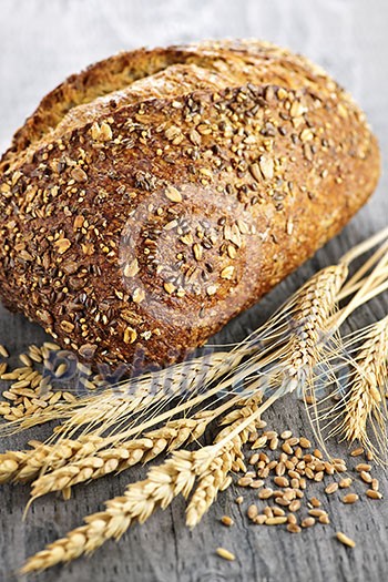 Loaf of fresh baked multigrain bread with grain ears Loaf of fresh baked multigrain bread with grain ears