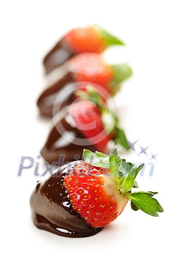 Row of strawberries dipped in delicious chocolate isolated on white