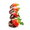 Row of strawberries dipped in delicious chocolate isolated on white