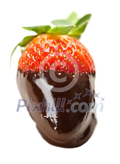 Strawberry dipped in delicious chocolate isolated on white