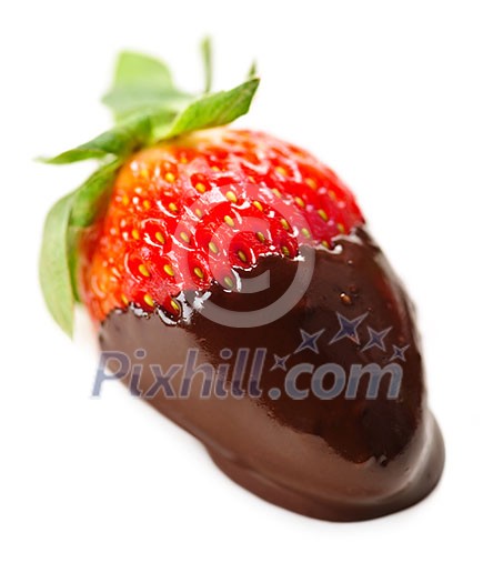 Strawberry dipped in delicious chocolate isolated on white