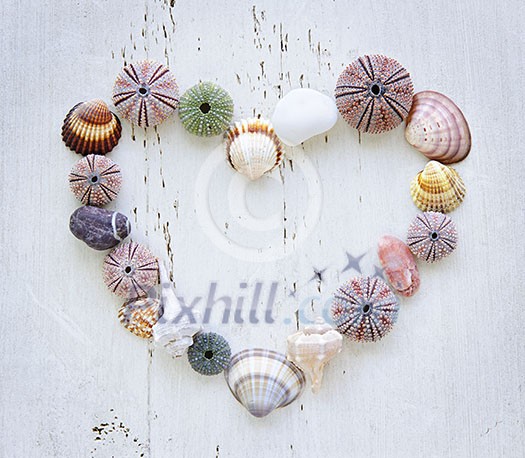 Heart made of Mediterranean sea shells, urchins and rocks on painted wood