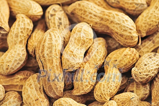 Closeup on pile of peanuts with shells Closeup on pile of peanuts with shells