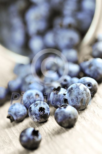 Fresh blueberries spilling out of a pail close up