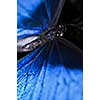 Closeup of a beautiful blue morpho butterly