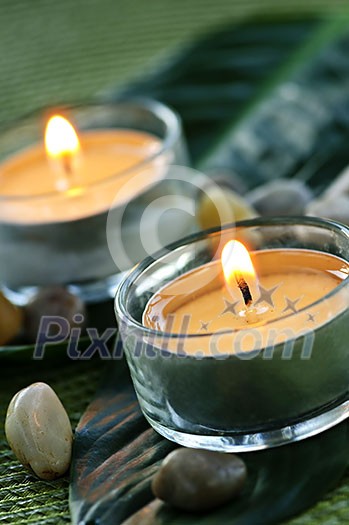 Burning candles in glass holders on green leaf