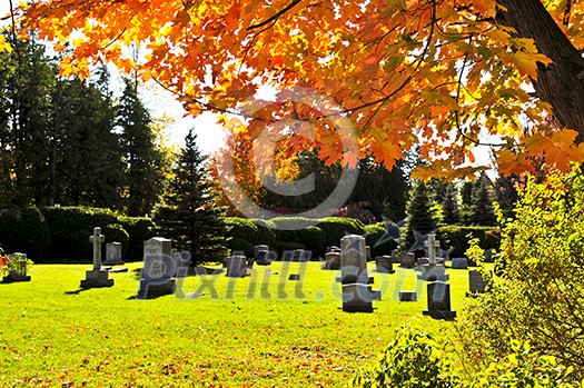 Bright graveyard lawn with ancient tombstone crosses