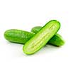 Close up of green cucumbers isolated on white