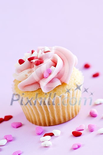 Single cupcake with pink icing and sprinkles Single cupcake with pink icing and sprinkles