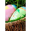 Easter eggs arrangement with green grass in a basket