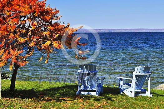 Wooden muskoka chairs under fall tree at lake Wooden muskoka chairs under fall tree at lake