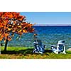 Wooden muskoka chairs under fall tree at lake