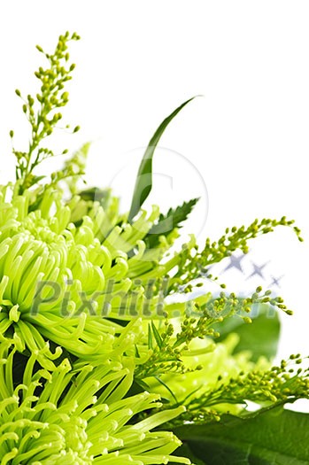Close up of floral arrangement with green chrysanthemums