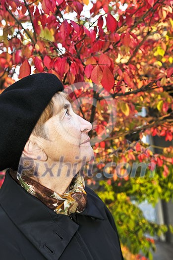 Senior woman looking up in fall park Senior woman looking up in fall park