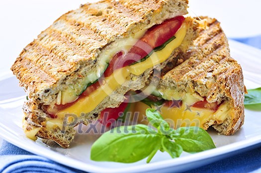 Grilled cheese and tomato sandwich on a plate