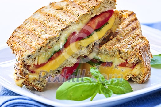 Grilled cheese and tomato sandwich on a plate Grilled cheese and tomato sandwich on a plate