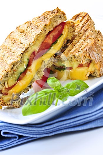 Grilled cheese and tomato sandwich on a plate Grilled cheese and tomato sandwich on a plate