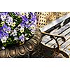 Planter with purple viola pansies and bench