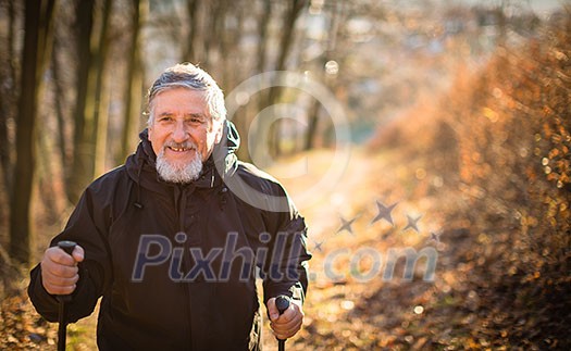 Senior man nordic walking, enjoying the outdoors, the fresh air, getting the necessary exercise