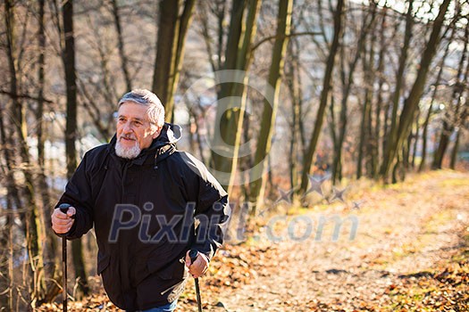 Senior man nordic walking, enjoying the outdoors, the fresh air, getting the necessary exercise Senior man nordic walking, enjoying the outdoors, the fresh air, getting the necessary exercise