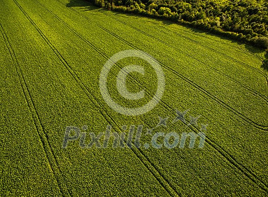 Farmland from above - aerial image of a lush green filed and a small country road with a car