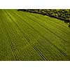 Farmland from above - aerial image of a lush green filed and a small country road with a car