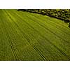 Farmland from above - aerial image of a lush green filed and a small country road with a car