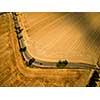 Aerial view of a country road amid fields with a red car