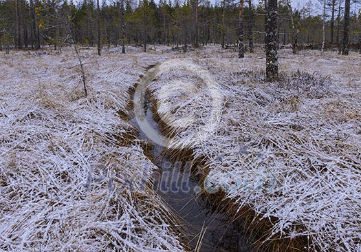 First snow in national park First snow in national park