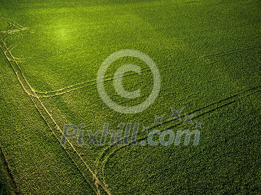 Farmland from above - aerial image of a lush green filed