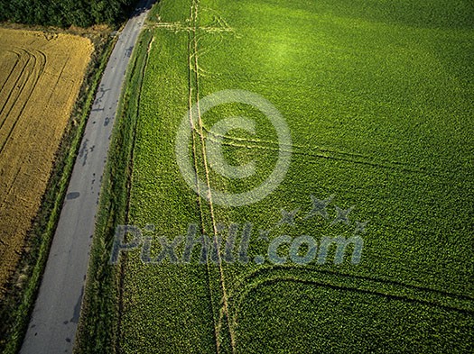 Farmland from above - aerial image of a lush green filed