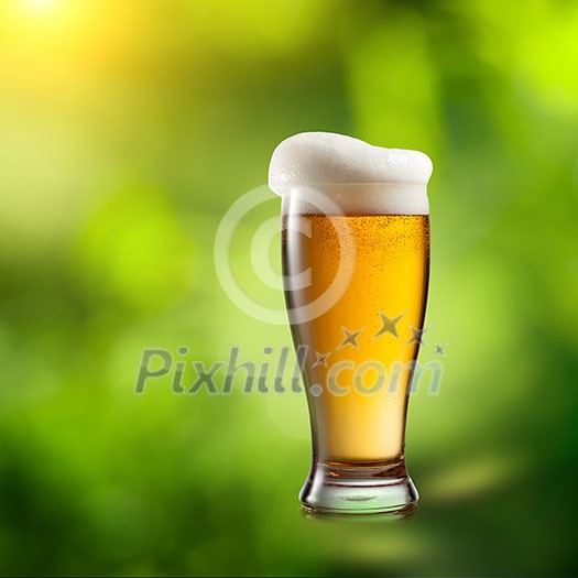 Beer in glass on natural green background Beer in glass on natural green background