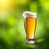 Beer in glass on natural green background