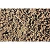 Stones under the cement