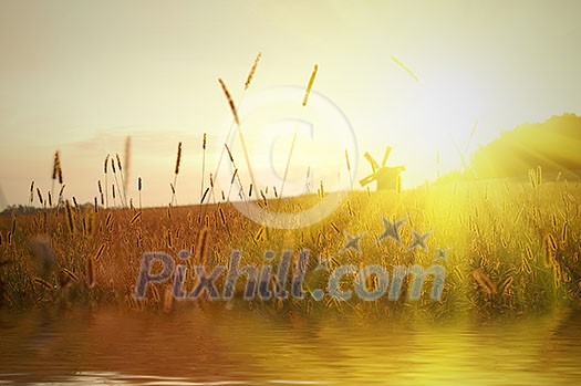 field on sunset with water reflection field on sunset with water reflection
