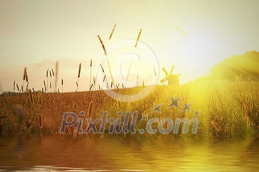 field on sunset with water reflection