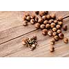 Hazelnuts on wooden table