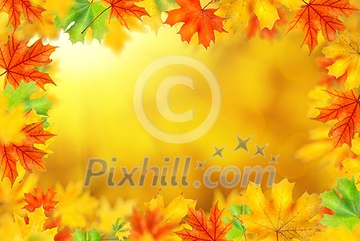 background with frame of autumn leaves background with frame of autumn leaves