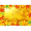 background with frame of autumn leaves