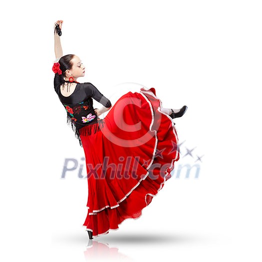 young woman dancing flamenco from back isolated on white young woman dancing flamenco from back isolated on white