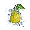 yellow pear with water splash isolated on white