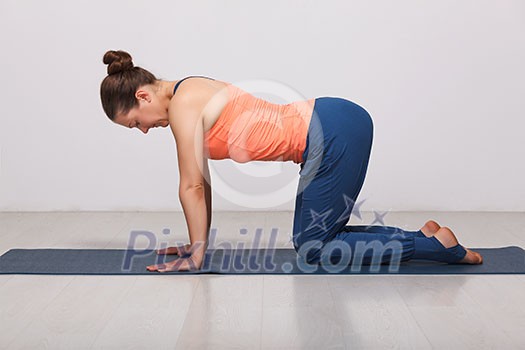 Beautiful sporty fit yogini woman practices yoga asana bitilasana - cow pose gentle warm up for spine (also called cat-cow pose) in studio Beautiful sporty fit yogini woman practices yoga asana bitilasana - cow pose gentle warm up for spine (also called cat-cow pose) in studio
