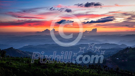 Panorama of sunset in mountains with tea plantations. Munnar, Kerala, India Panorama of sunset in mountains with tea plantations. Munnar, Kerala, India
