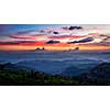 Panorama of sunset in mountains with tea plantations. Munnar, Kerala, India