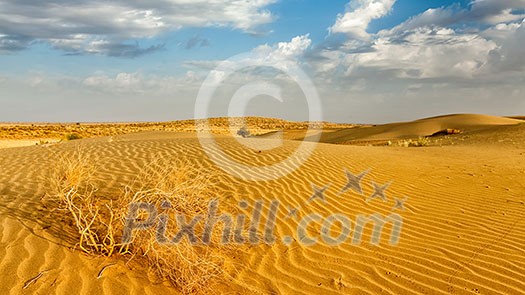 Panorama of dunes of Thar Desert. Sam Sand dunes, Rajasthan, India Panorama of dunes of Thar Desert. Sam Sand dunes, Rajasthan, India
