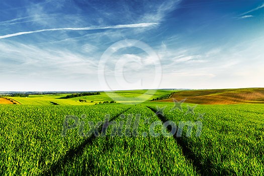 Vintage retro effect filtered hipster style image of Green fields of Moravia with blue sky, Czech Republic