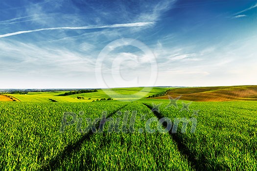 Vintage retro effect filtered hipster style image of Green fields of Moravia with blue sky, Czech Republic Vintage retro effect filtered hipster style image of Green fields of Moravia with blue sky, Czech Republic