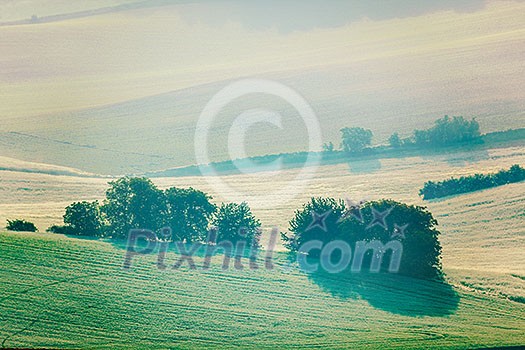 Vintage retro effect filtered hipster style image of Moravian rolling fields landscape in morning mist. Moravia, Czech Republic