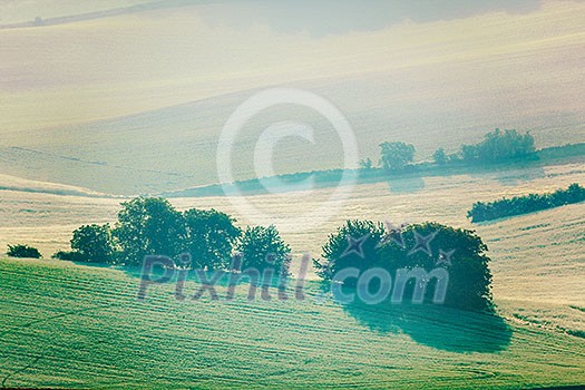 Vintage retro effect filtered hipster style image of Moravian rolling fields landscape in morning mist. Moravia, Czech Republic Vintage retro effect filtered hipster style image of Moravian rolling fields landscape in morning mist. Moravia, Czech Republic